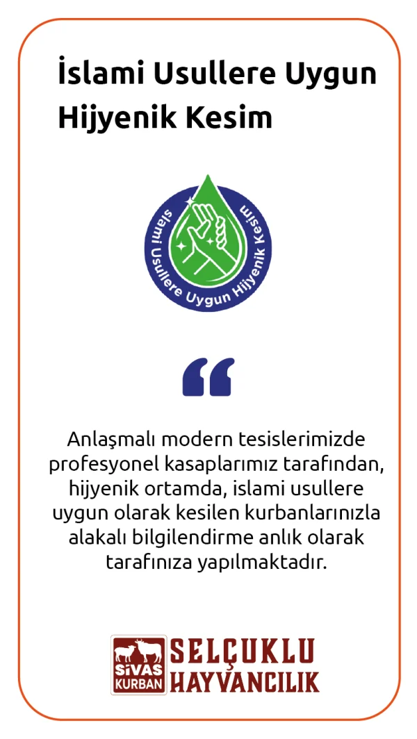 Sivas Selçuklu Kurban