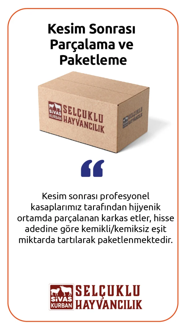 Sivas Selçuklu Kurban